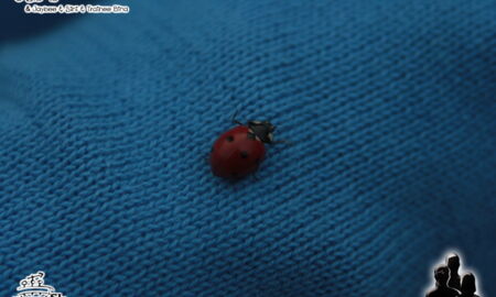 0105_20130509_1720740580.jpg